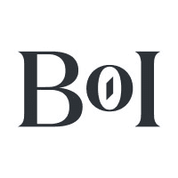 Business of Interne logo