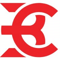 BrioChain Consulting logo