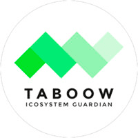 Taboow logo