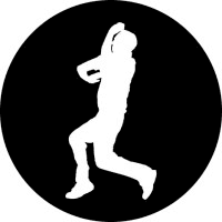 CricFlex logo