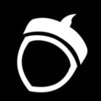 Blind Squirrel Games logo