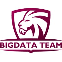 BigData Team logo