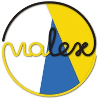 Vialex Motion Lab logo