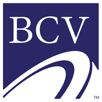 Blue Chip Vision logo