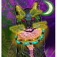 GenerativeNFTs.io logo