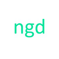 ngdenterprise inc. logo