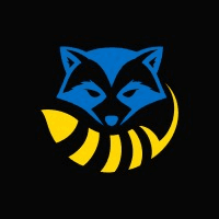 Raccoon LLC  logo