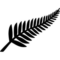 NEW IT Systems limited logo