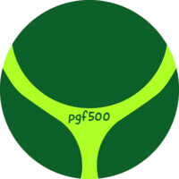 pgf500 logo