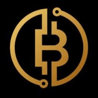 Black Swan Bitcoin  logo