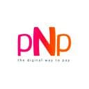 pingNpay logo