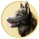 Shibaken Finance logo