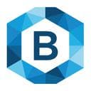 Blockchain Italia logo