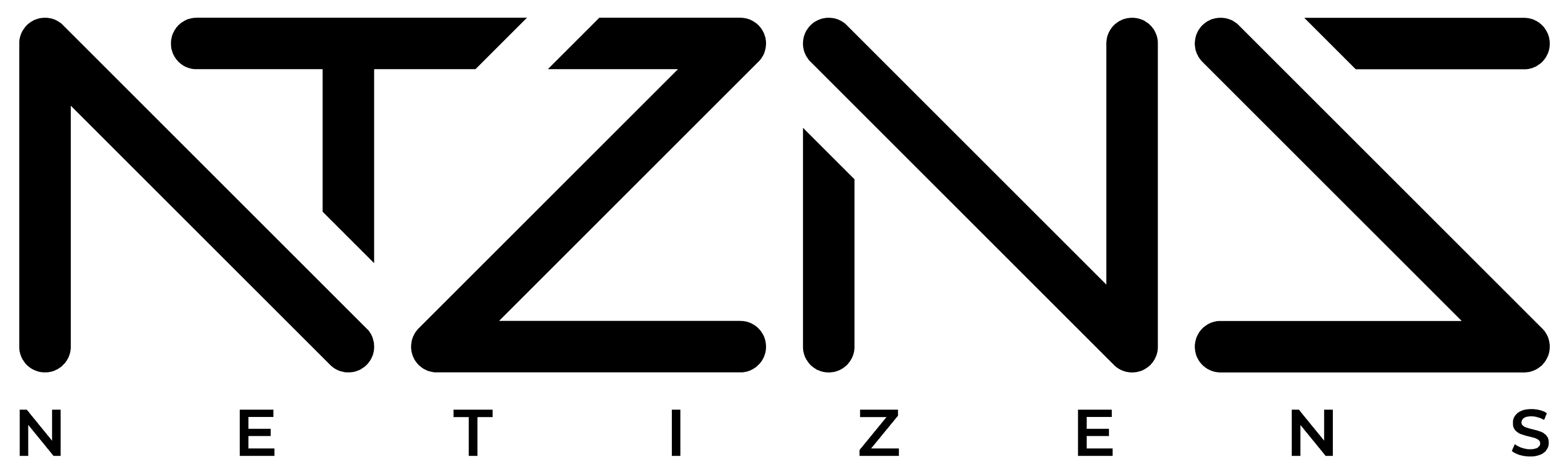 NTZNS logo