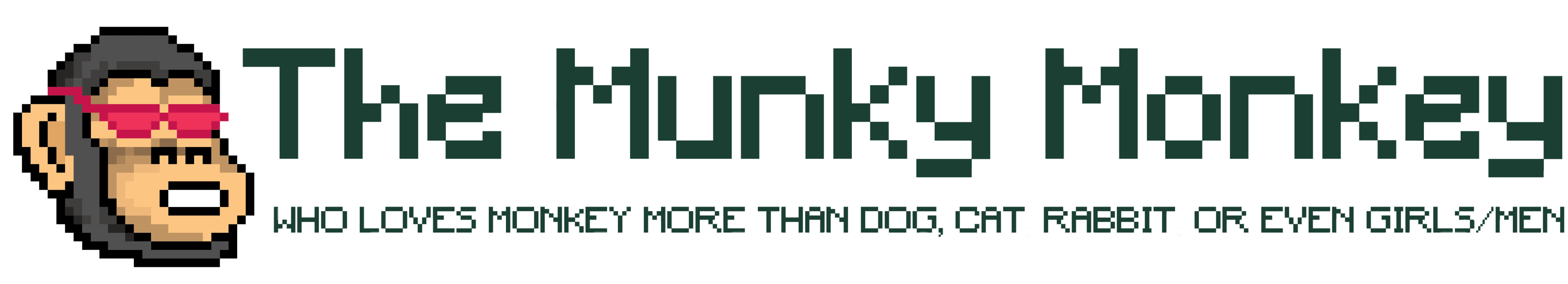 The Munky Monkey logo