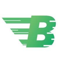 BitCashPay Official logo