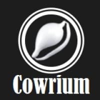 Cowrium Int Ltd logo