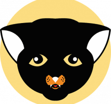 Baby Wakanda Inu logo