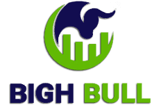 BIGH BULL logo