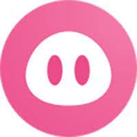Piggy logo