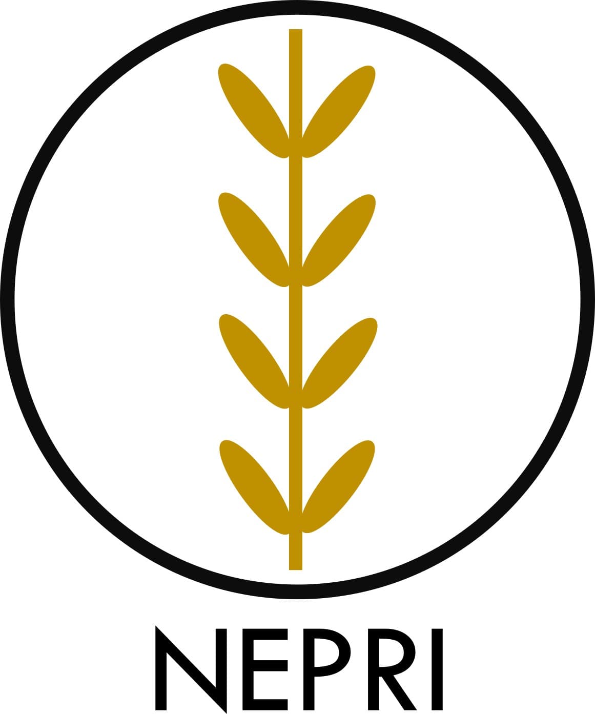 NEPRI FINANCE logo