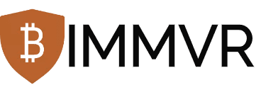 ImmVRse logo