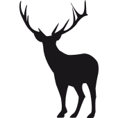Cryptodeer logo