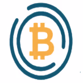 Bitcoin System logo