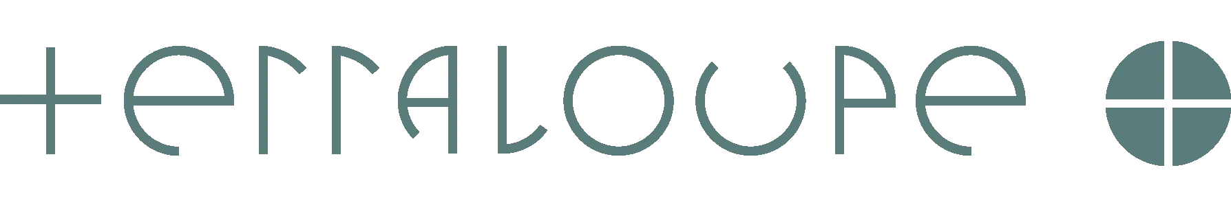 TerraLoupe logo