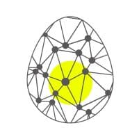 Blockchain Insight logo