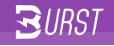 Burst logo