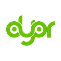 DYOR Audit logo