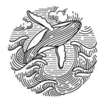 Cryptofxsignals logo