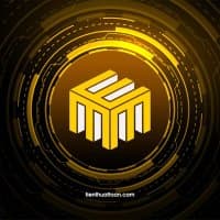 TienThuatToan Capital logo