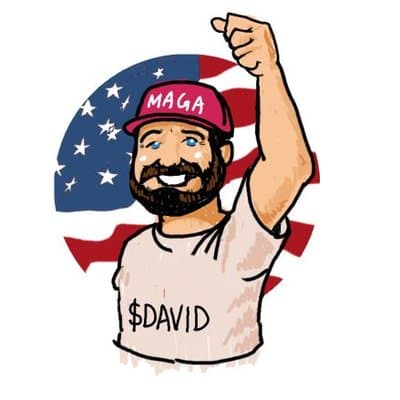 David logo