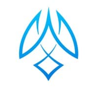 Falcon Wise Technology logo