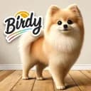 Birdy Community logo