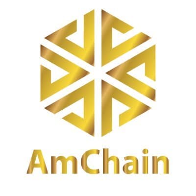 AmChain logo