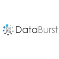 Databurst.ai logo