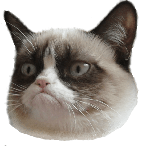 Grumpy Cat logo