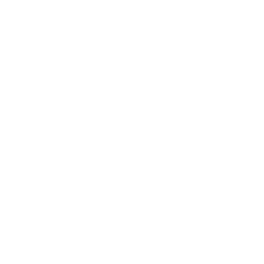 Trust Inspect logo